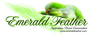 Emerald Feather logo jpeg