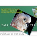 club-calgary